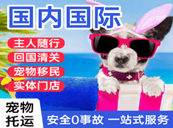 和田机场快递国际宠物托运 【国